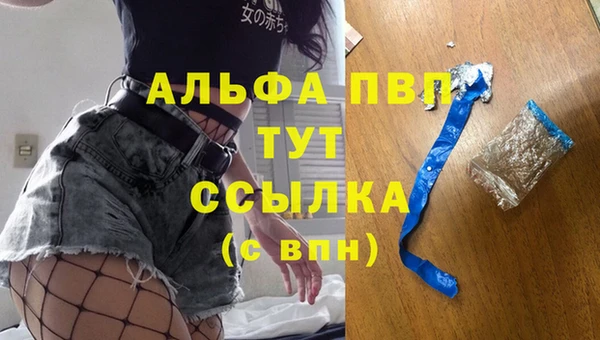 спиды Алзамай