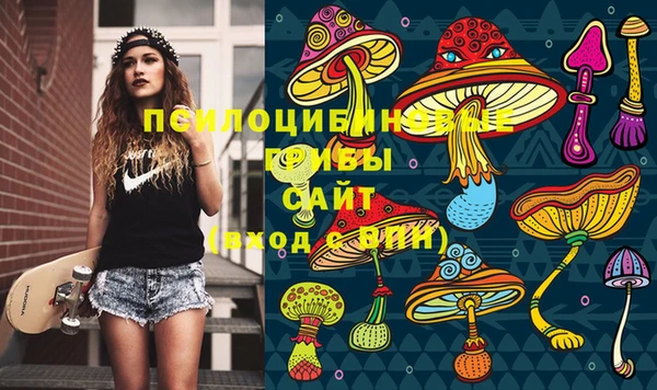 спиды Алзамай