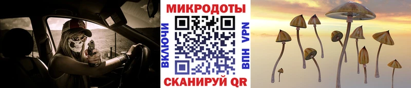 как найти   даркнет формула  Псилоцибиновые грибы прущие грибы  Куса 